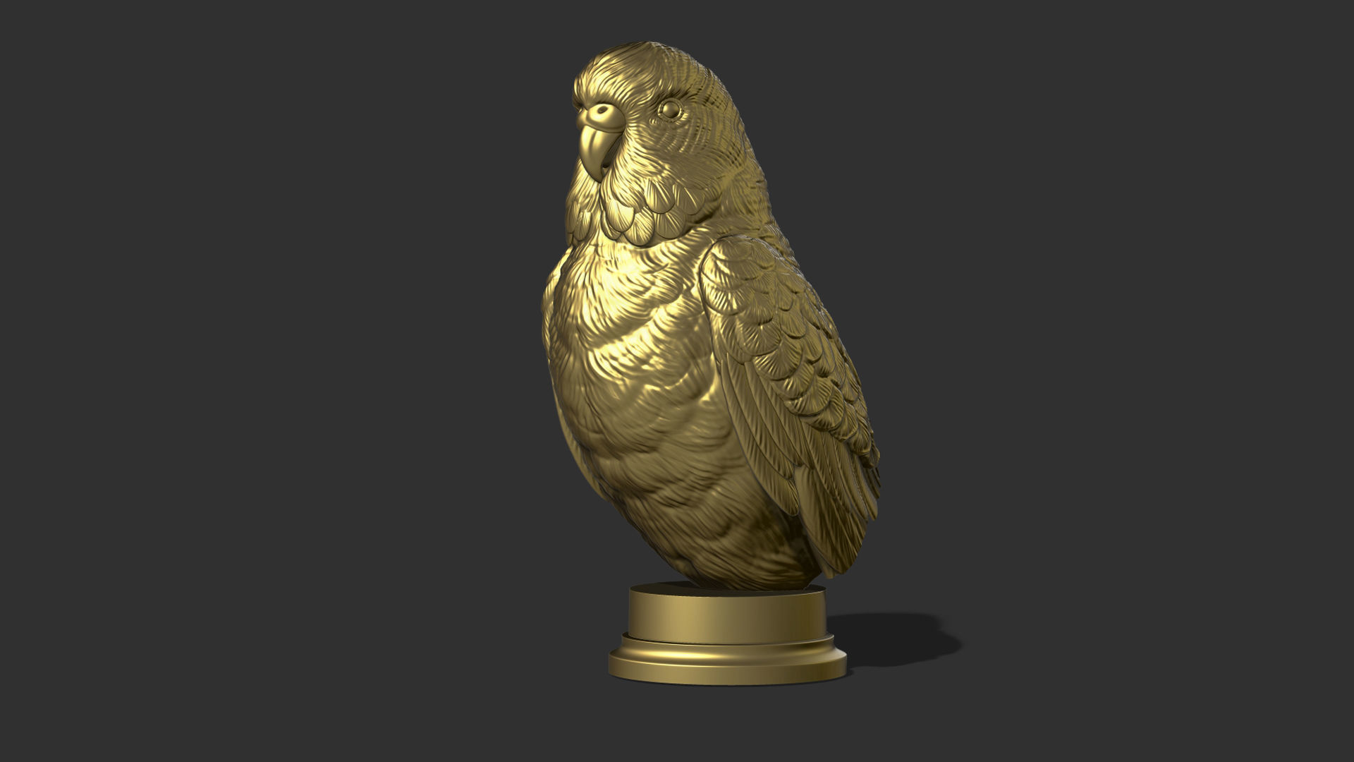 Budgerigar bust 3D print model_22