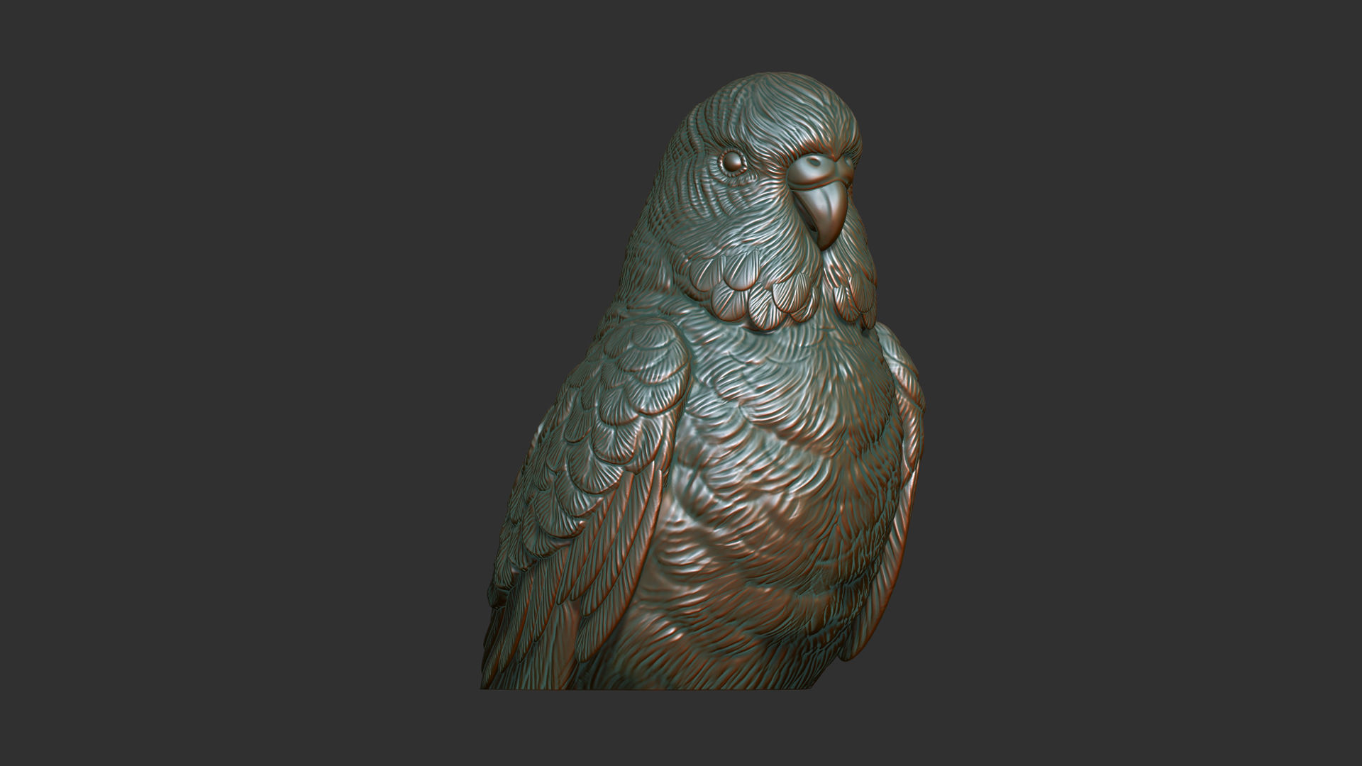 Budgerigar bust 3D print model_12