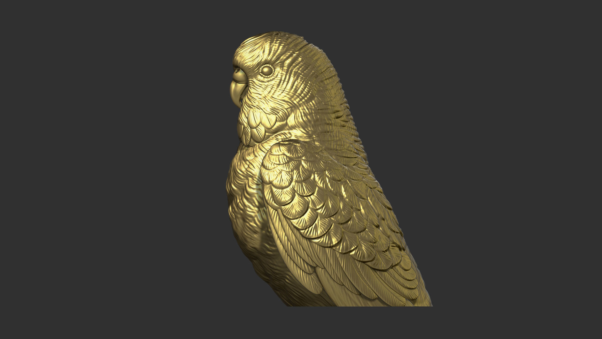 Budgerigar bust 3D print model_13
