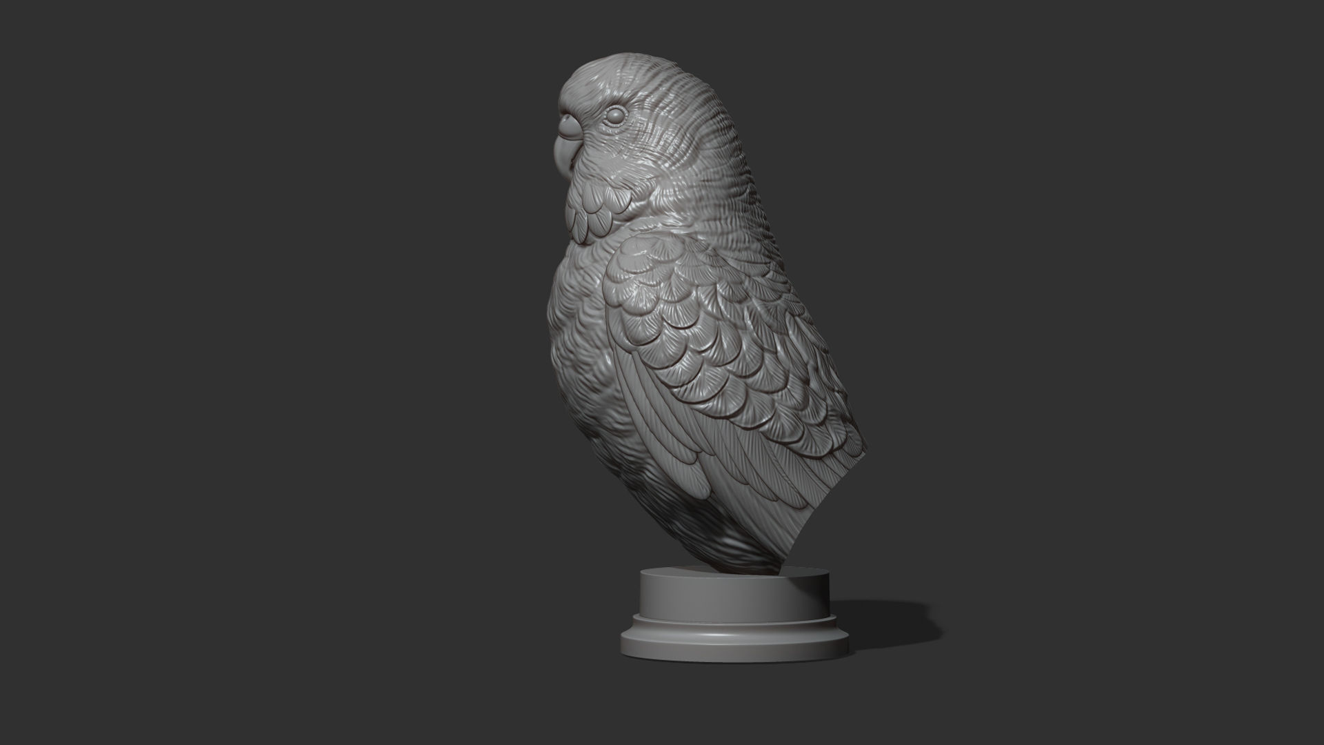 Budgerigar bust 3D print model_18