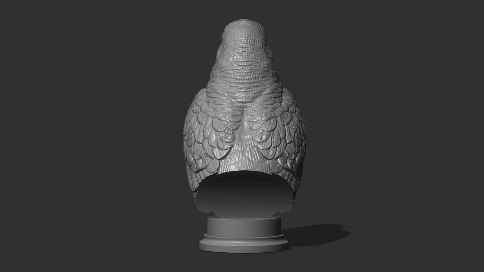 Budgerigar bust 3D print model_20