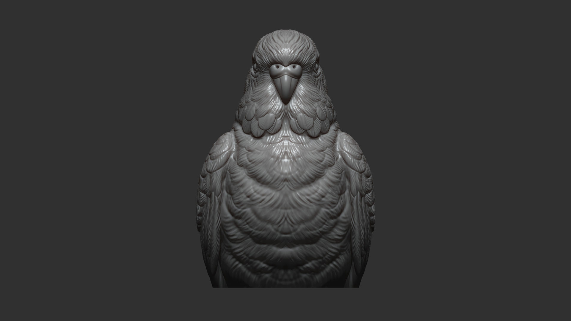 Budgerigar bust 3D print model_8