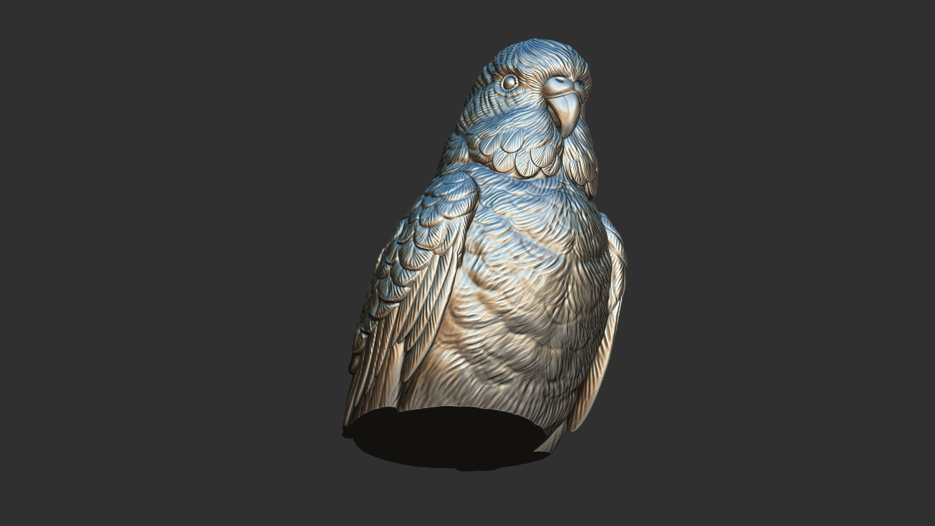 Budgerigar bust 3D print model_14