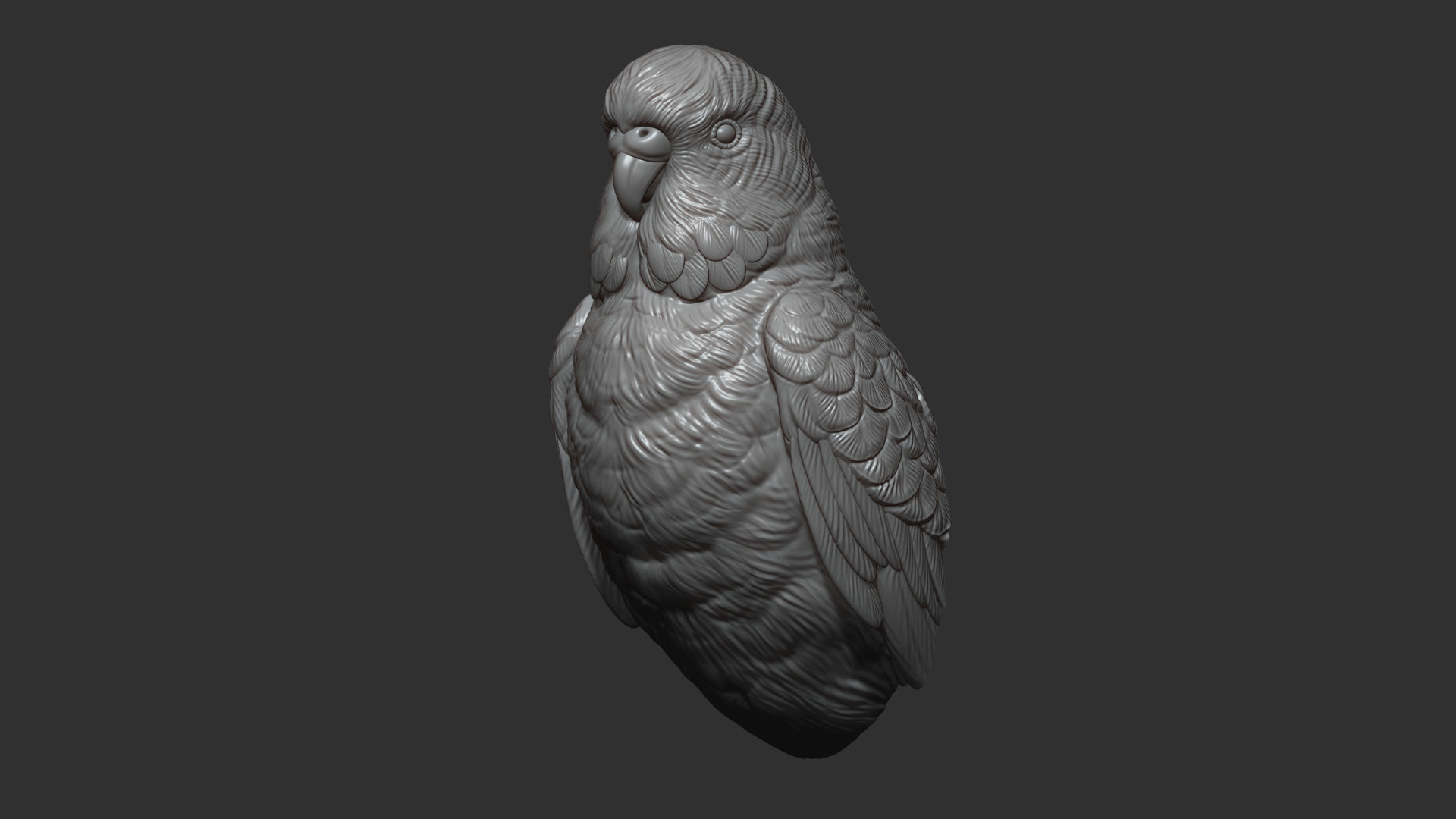 Budgerigar bust 3D print model_6