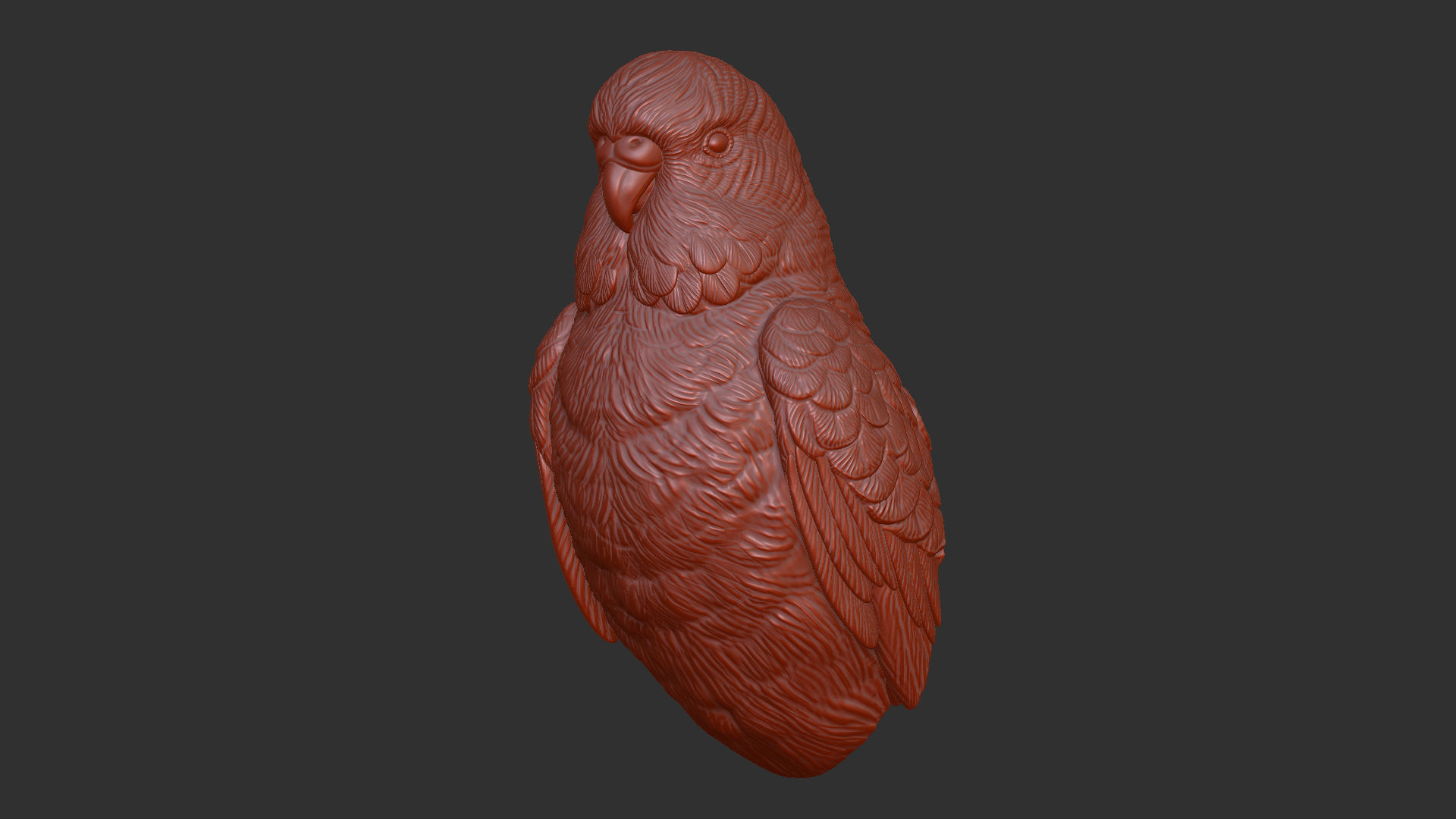 Budgerigar bust 3D print model_4