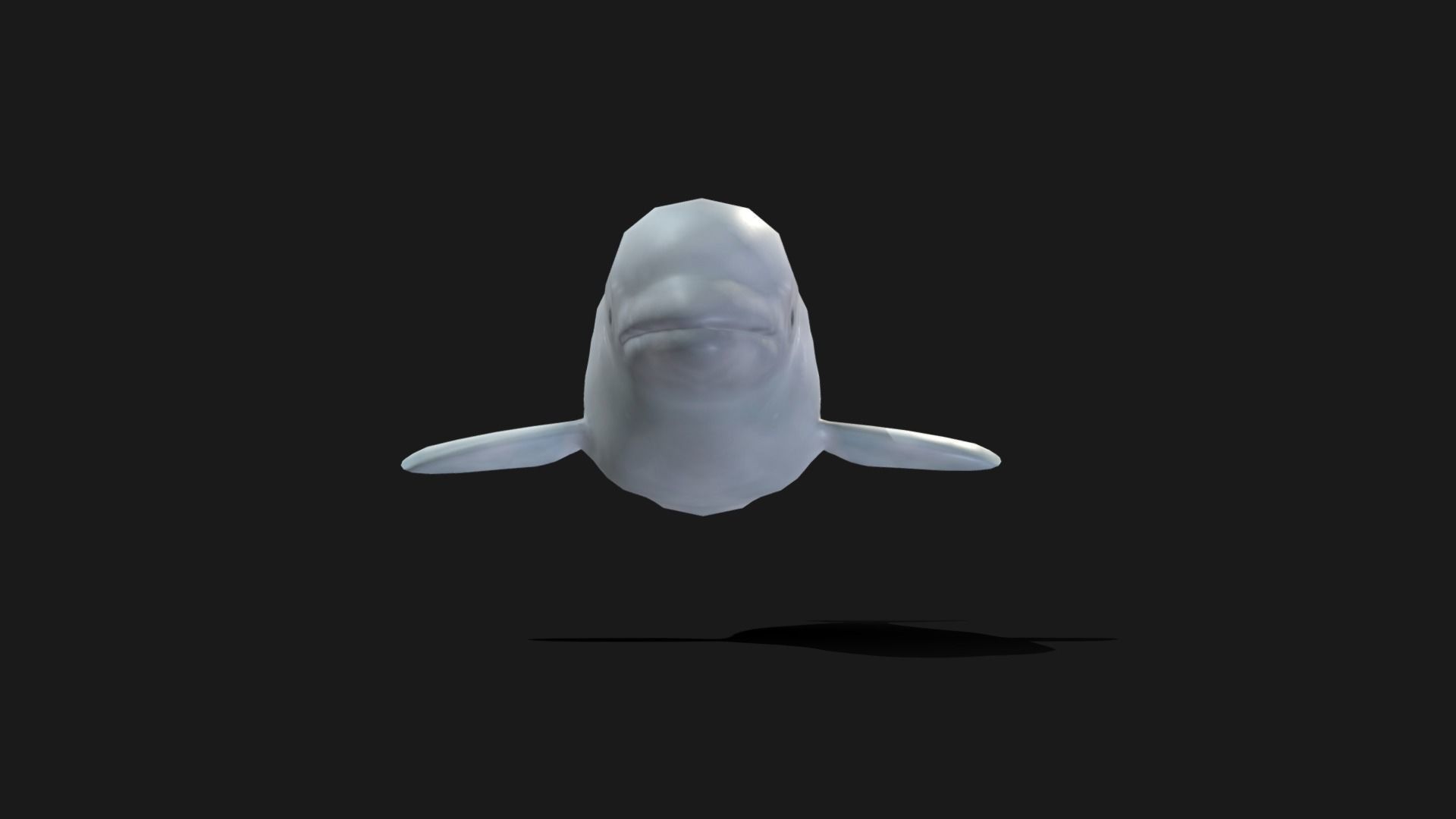Beluga Whale - Animated Low-poly 3D model_8