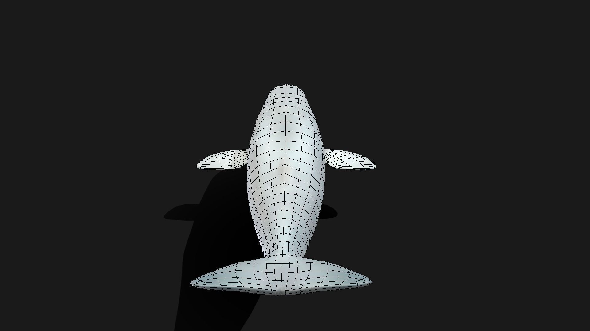 Beluga Whale - Animated Low-poly 3D model_11