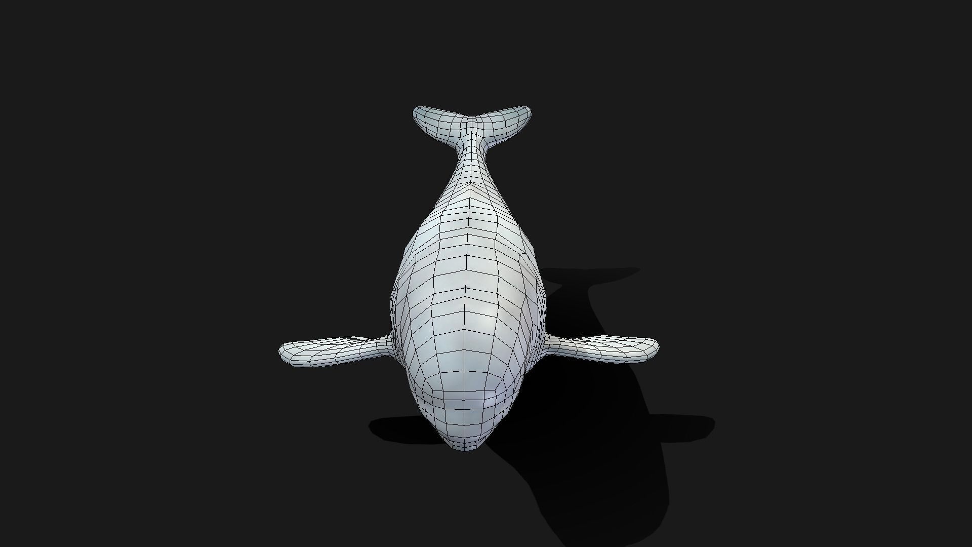 Beluga Whale - Animated Low-poly 3D model_21