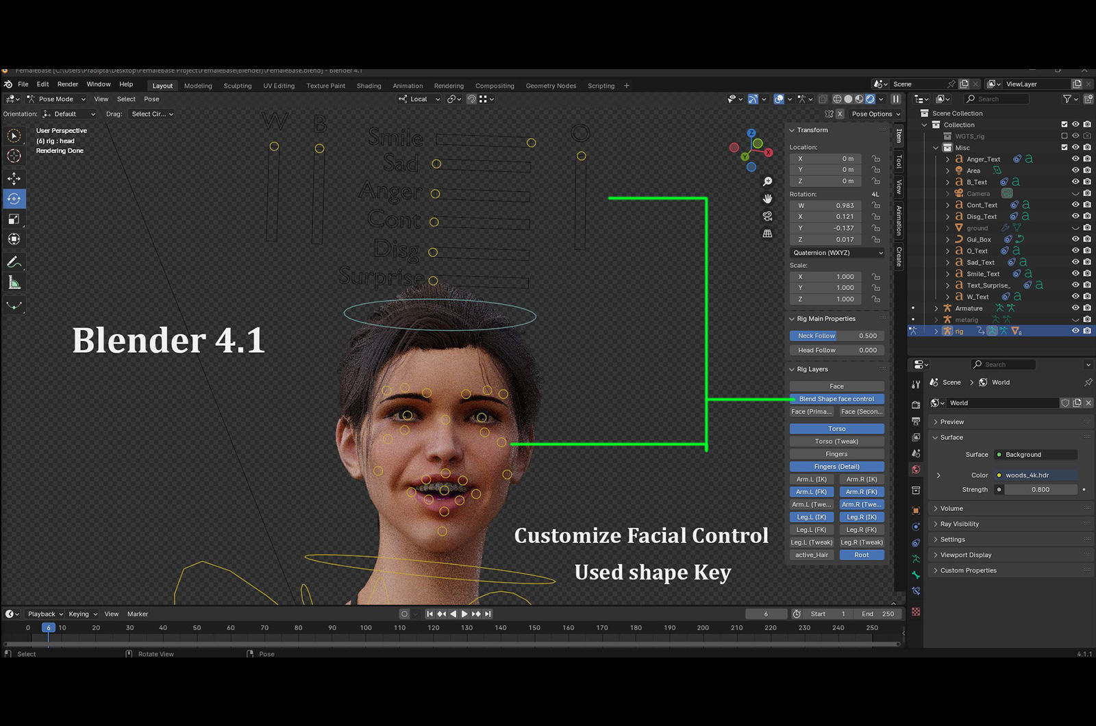 Female Base Rig Low-poly 3D model_17