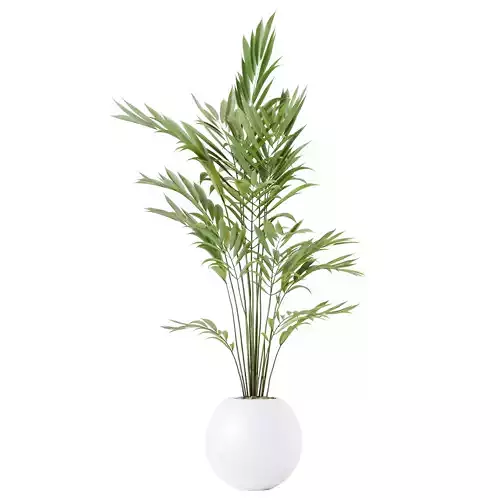 HQ HousePlants Pelagio Artificial Mountain Kentia Palm 3D model