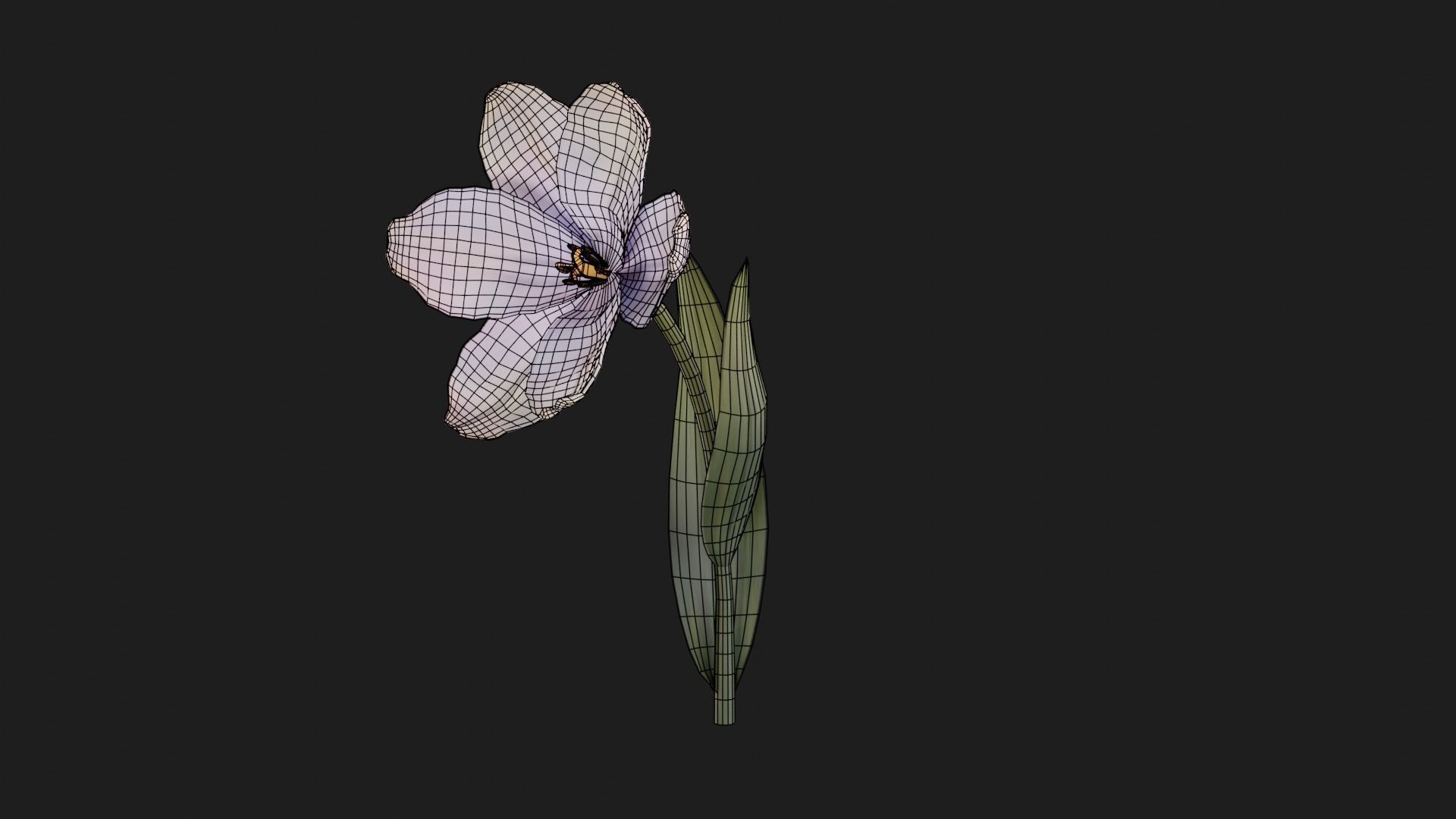 Tulip Flower Animated Low-poly 3D model_17