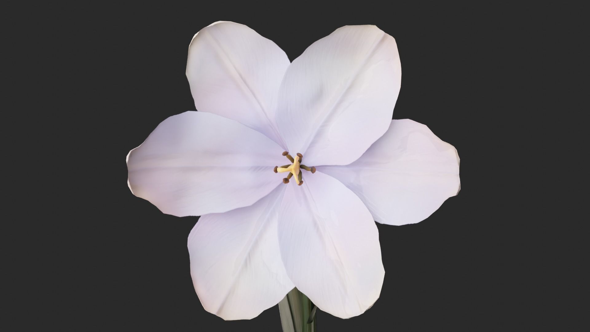 Tulip Flower Animated Low-poly 3D model_3