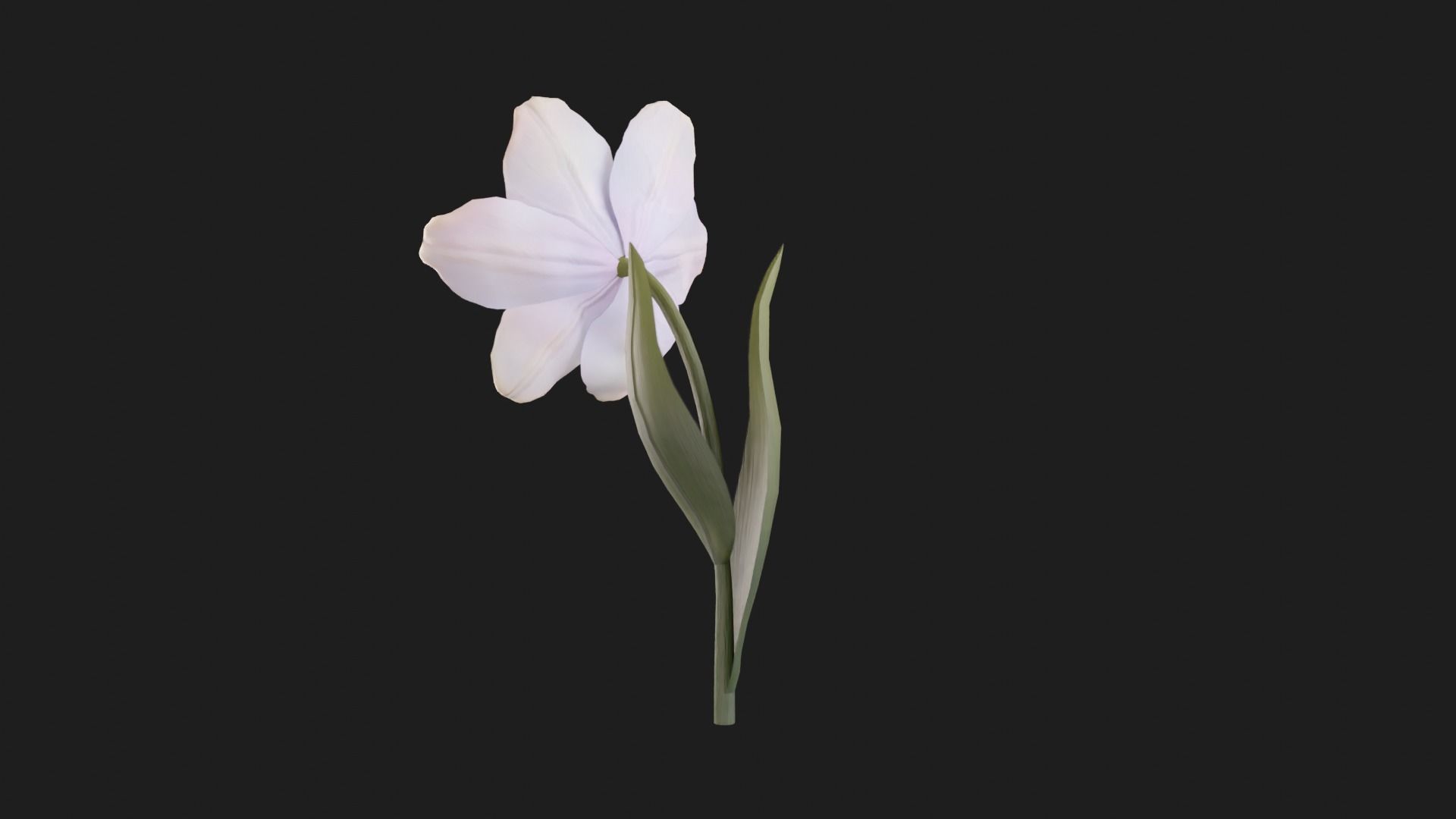 Tulip Flower Animated Low-poly 3D model_5