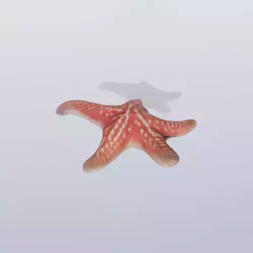 Starfish