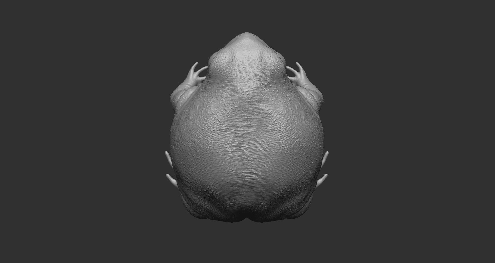 Rainfrog stil file for 3d printing 3D print model_3