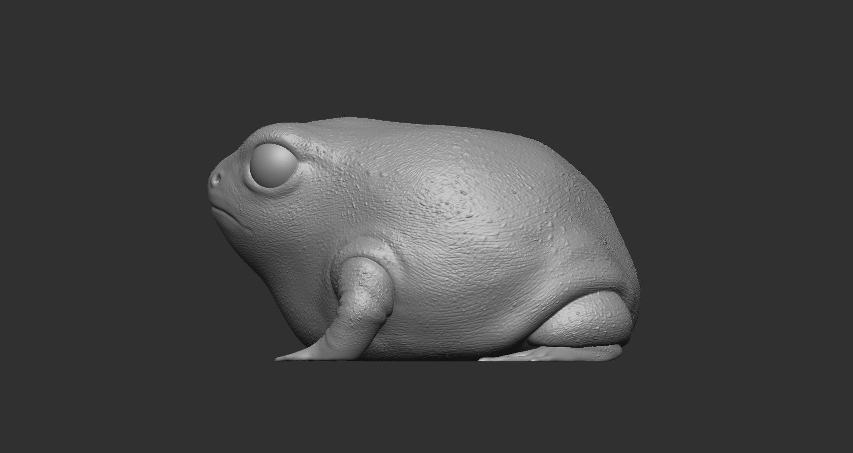 Rainfrog stil file for 3d printing 3D print model_2