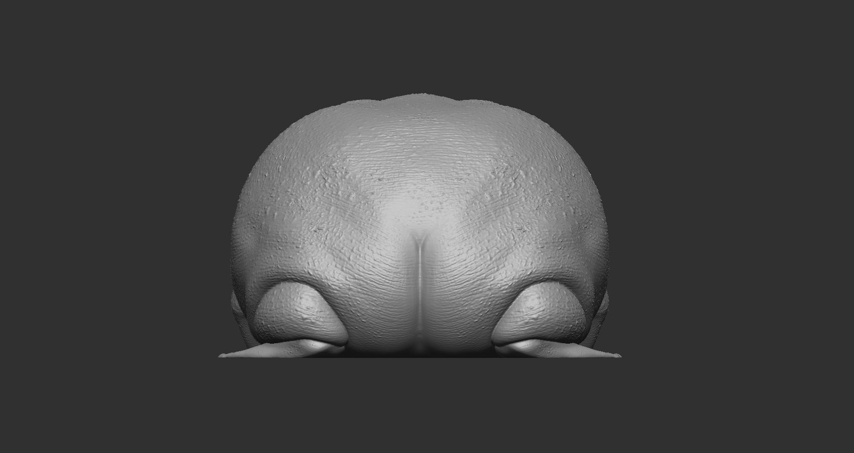 Rainfrog stil file for 3d printing 3D print model_4