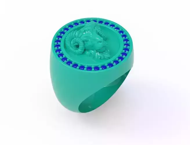 Aries  ring 3D print model