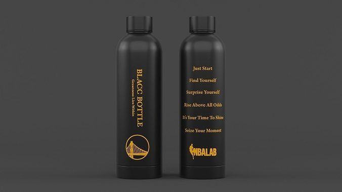 Water Bottle 3D model