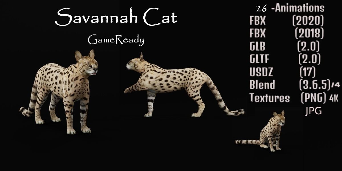 Savannah Cat Low-poly 3D model_2