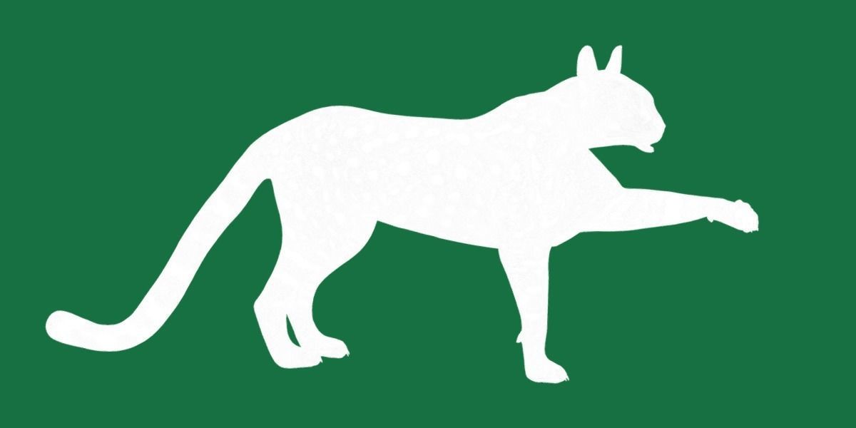 Savannah Cat Low-poly 3D model_21