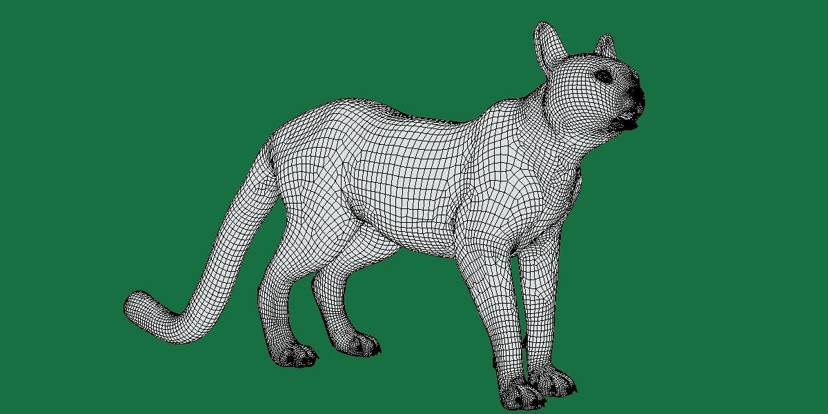 Savannah Cat Low-poly 3D model_9