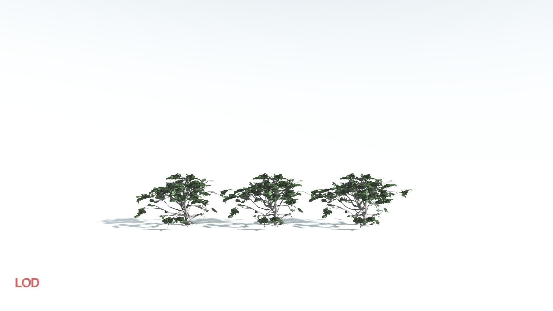 EVERYPlant Tree Heliotrope LowPoly 2 --14 Models-- Low-poly 3D model_4