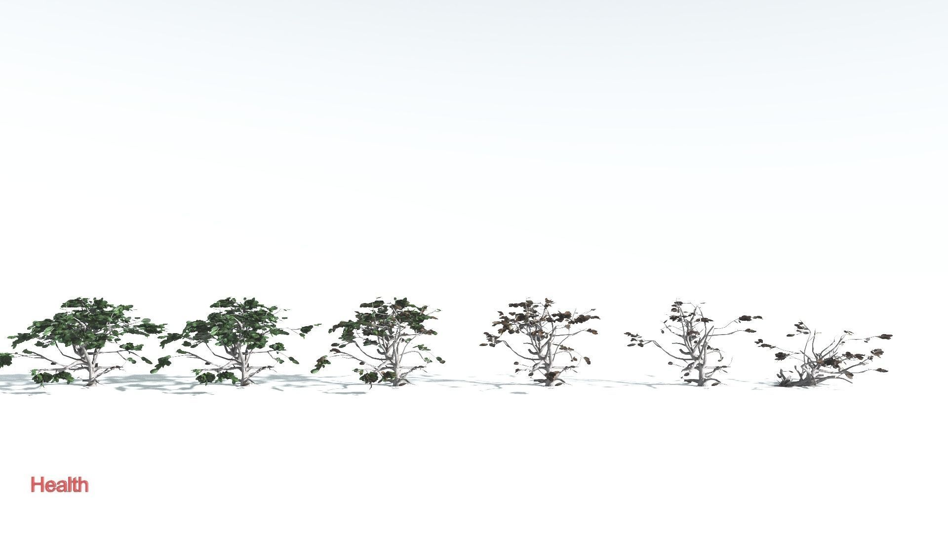 EVERYPlant Tree Heliotrope LowPoly 2 --14 Models-- Low-poly 3D model_2