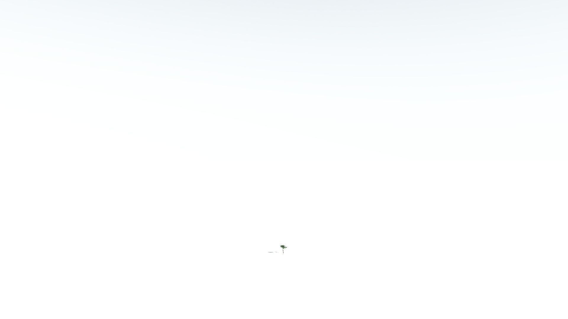 EVERYPlant Tree Heliotrope LowPoly 2 --14 Models-- Low-poly 3D model_27