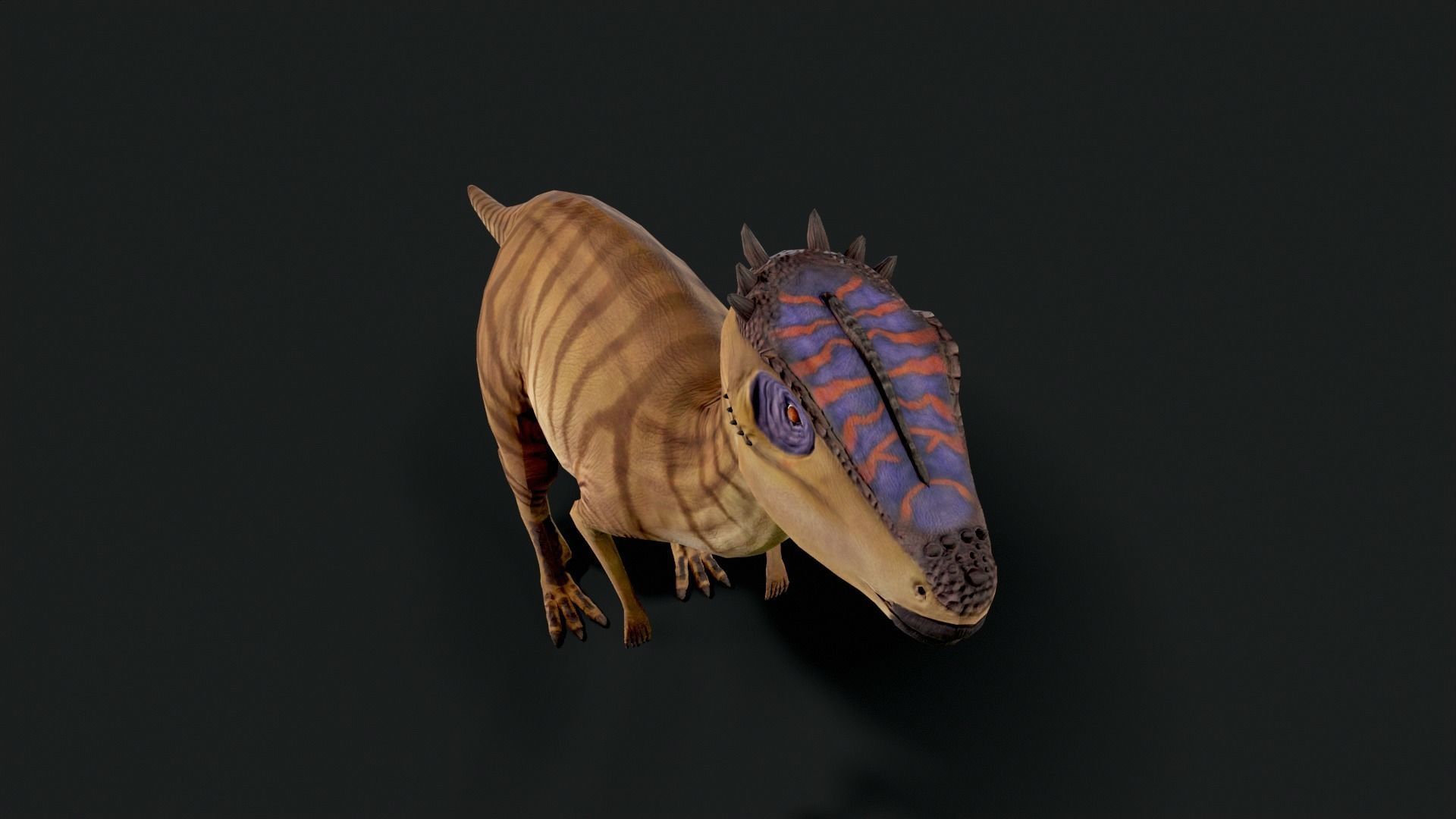 Dracorex Dinosaur Low Poly Low-poly 3D model_5