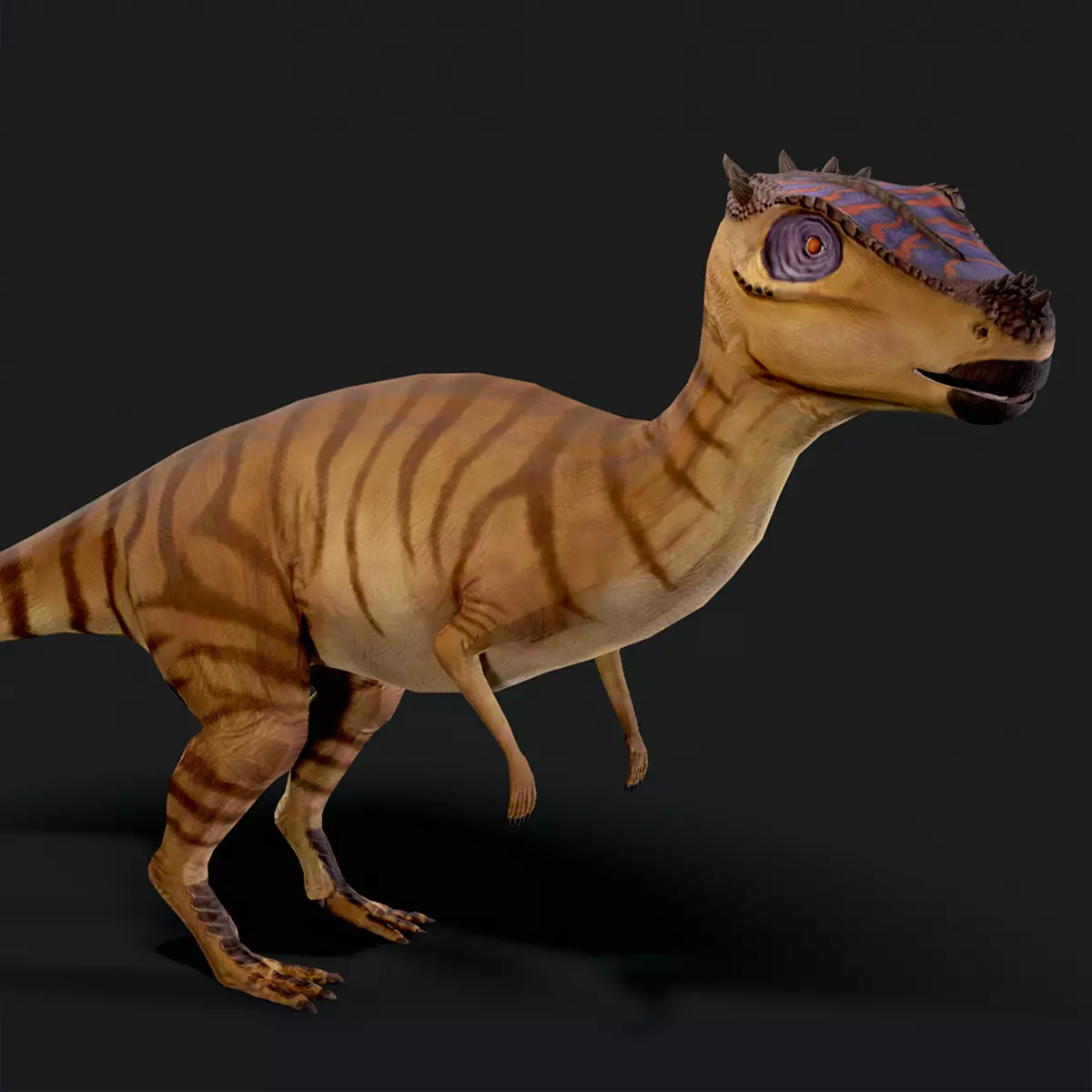 Dracorex Dinosaur Low Poly Low-poly 3D model_0