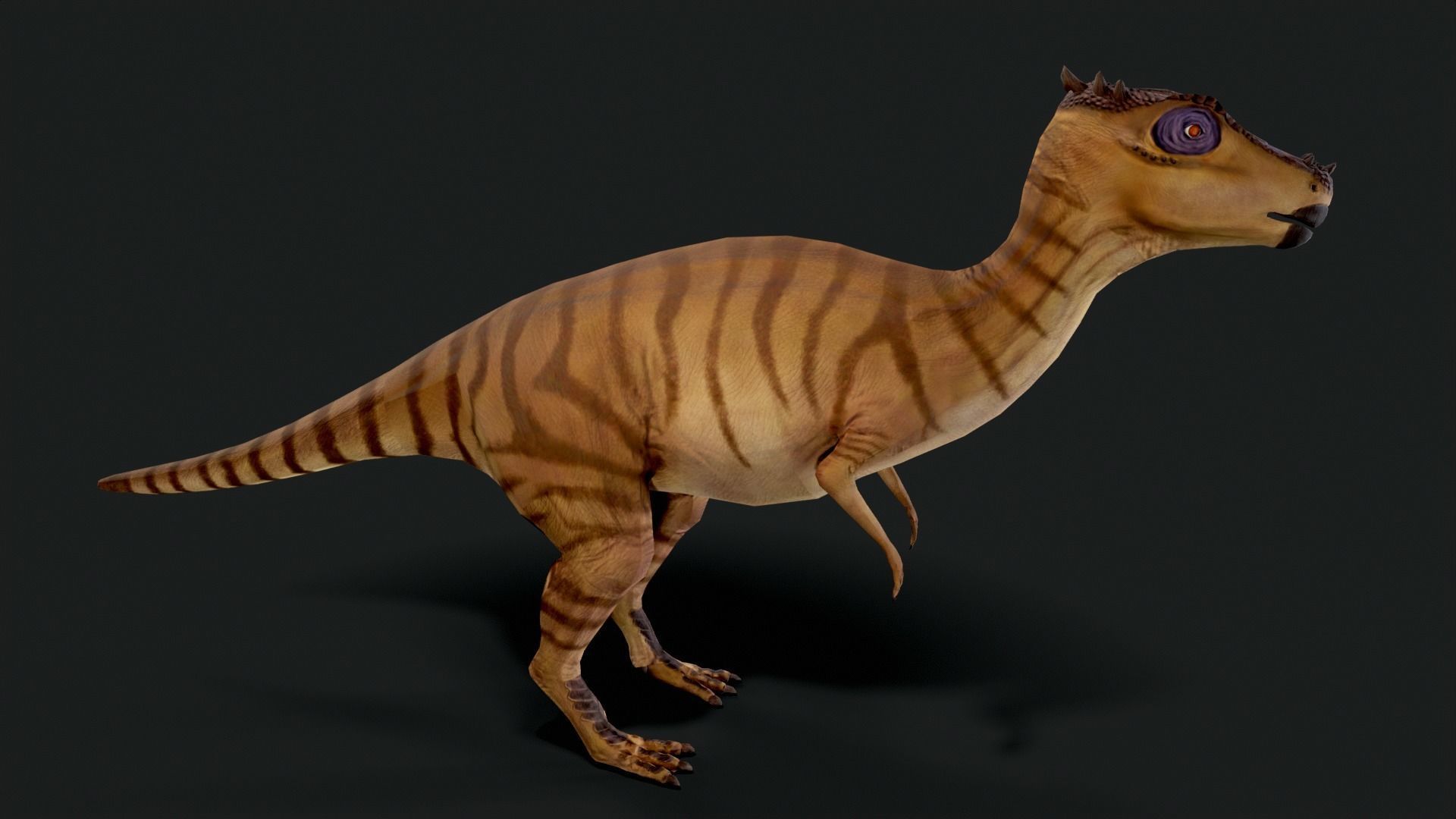 Dracorex Dinosaur Low Poly Low-poly 3D model_2