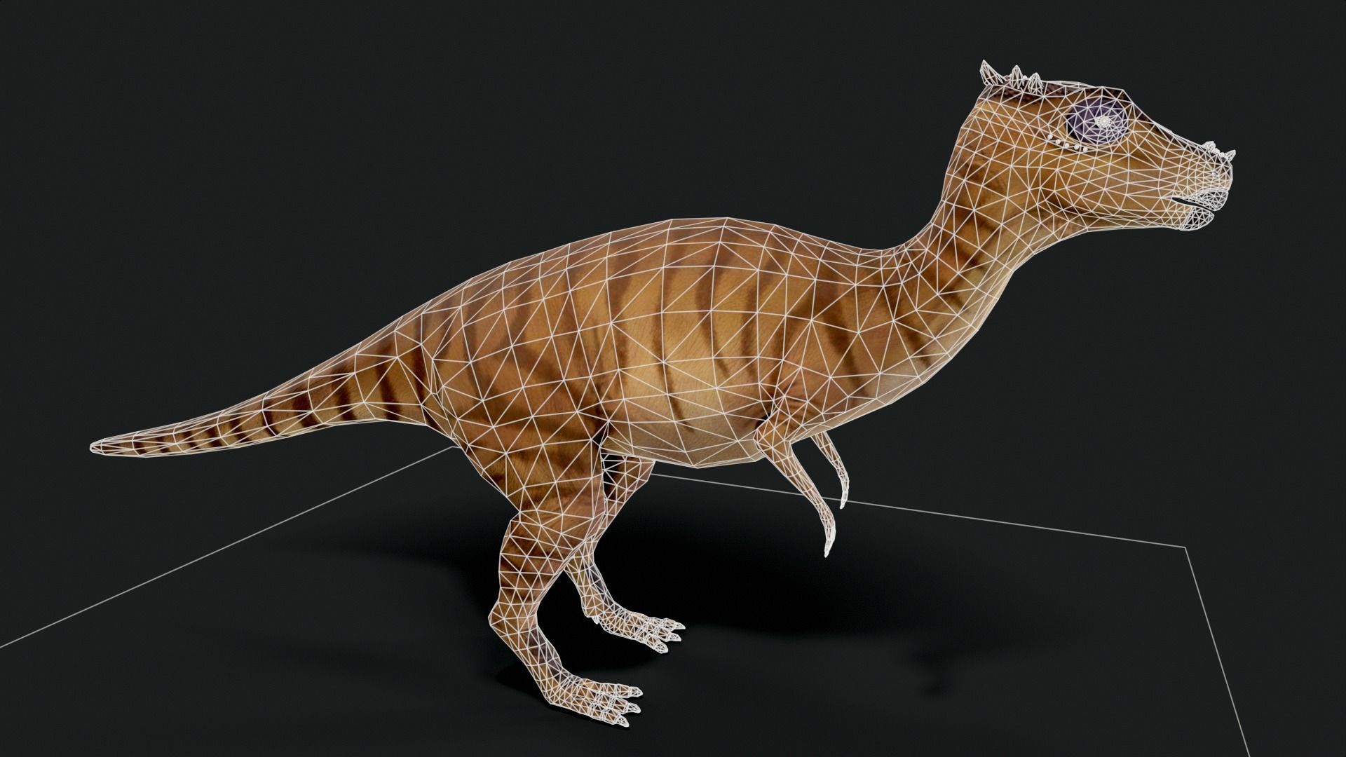 Dracorex Dinosaur Low Poly Low-poly 3D model_6