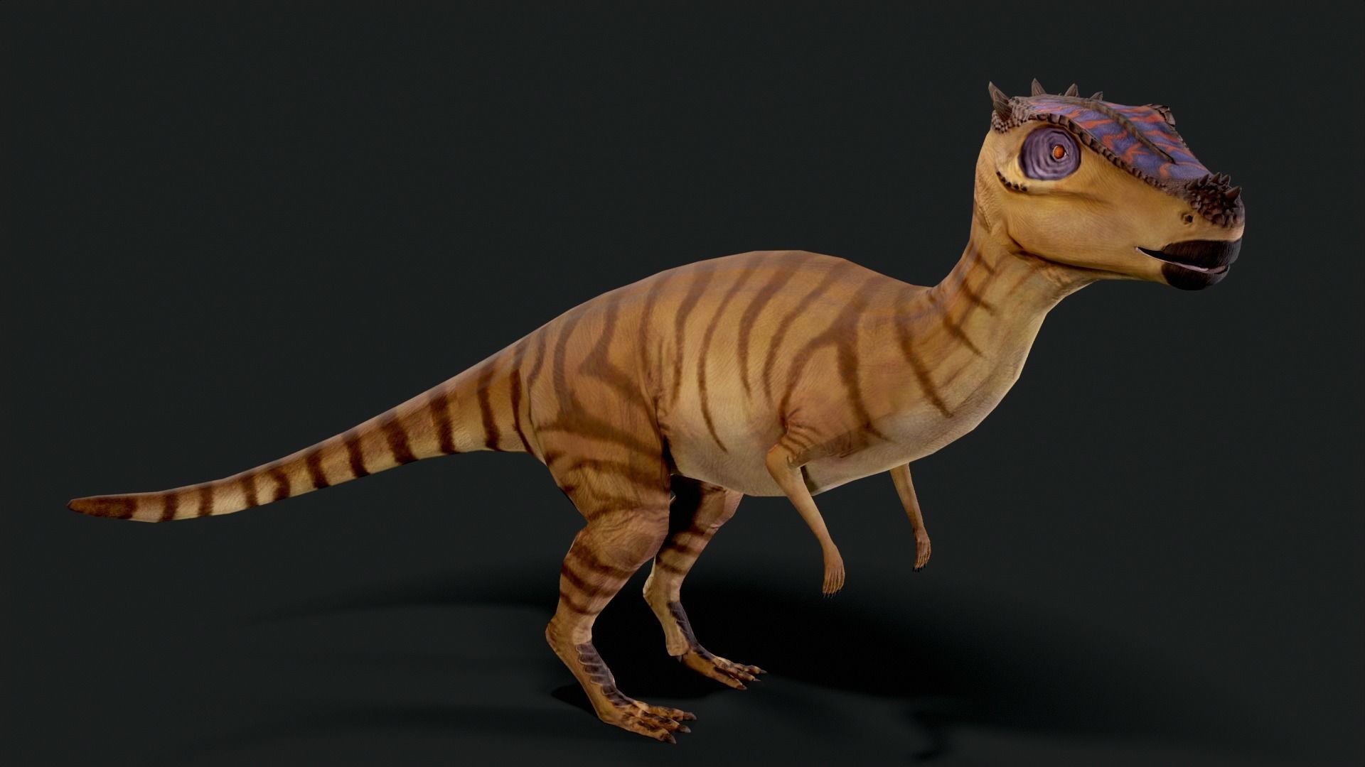 Dracorex Dinosaur Low Poly Low-poly 3D model_1
