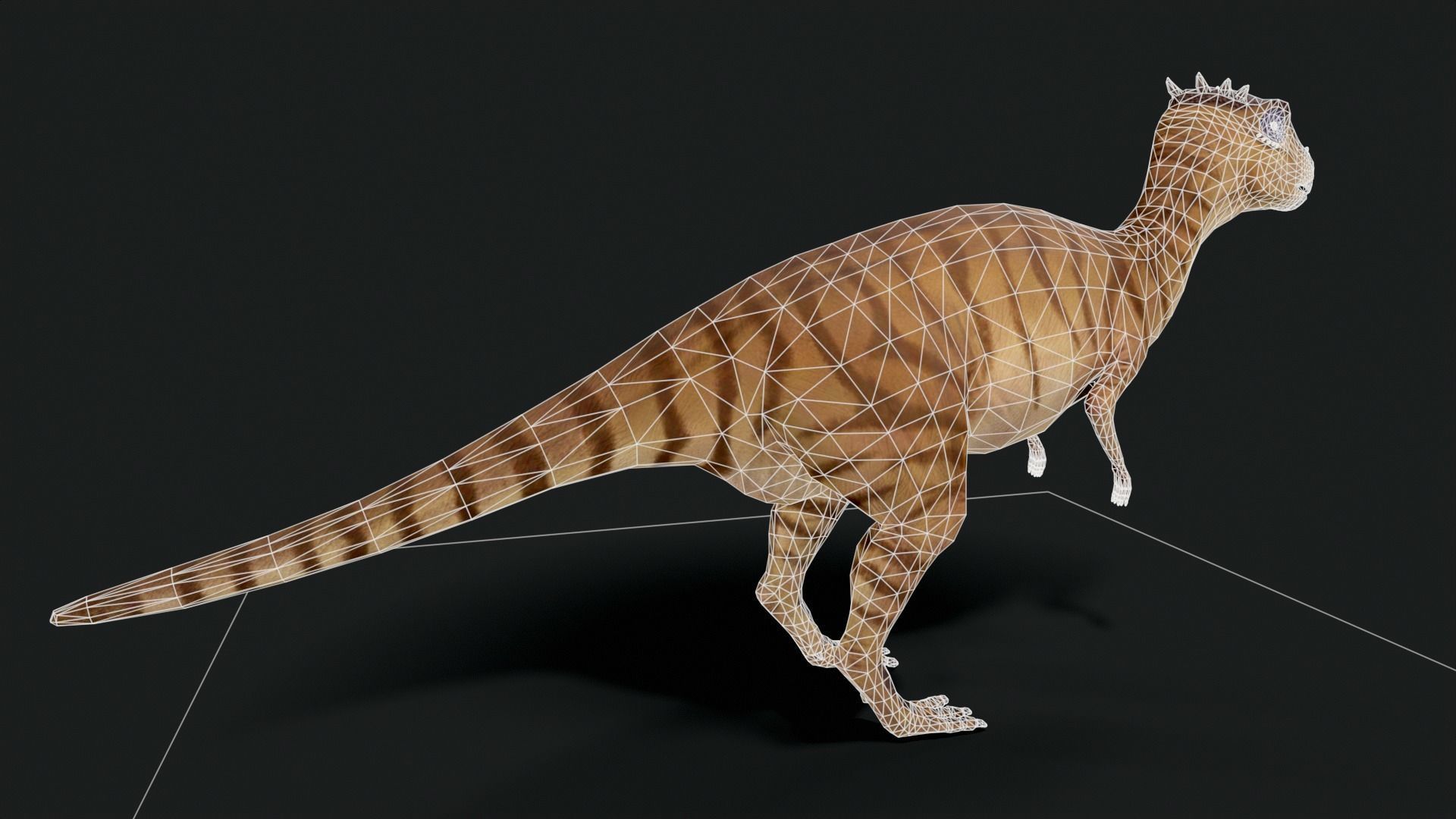 Dracorex Dinosaur Low Poly Low-poly 3D model_8
