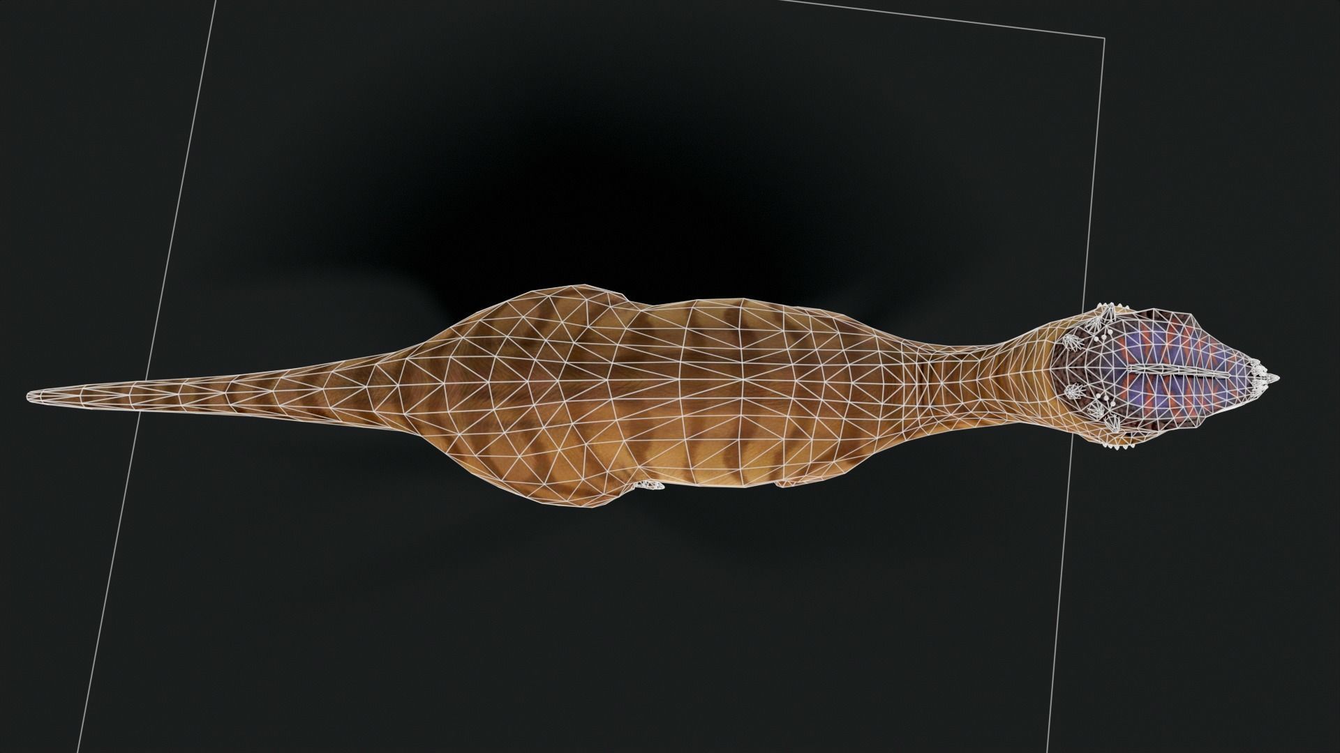 Dracorex Dinosaur Low Poly Low-poly 3D model_7