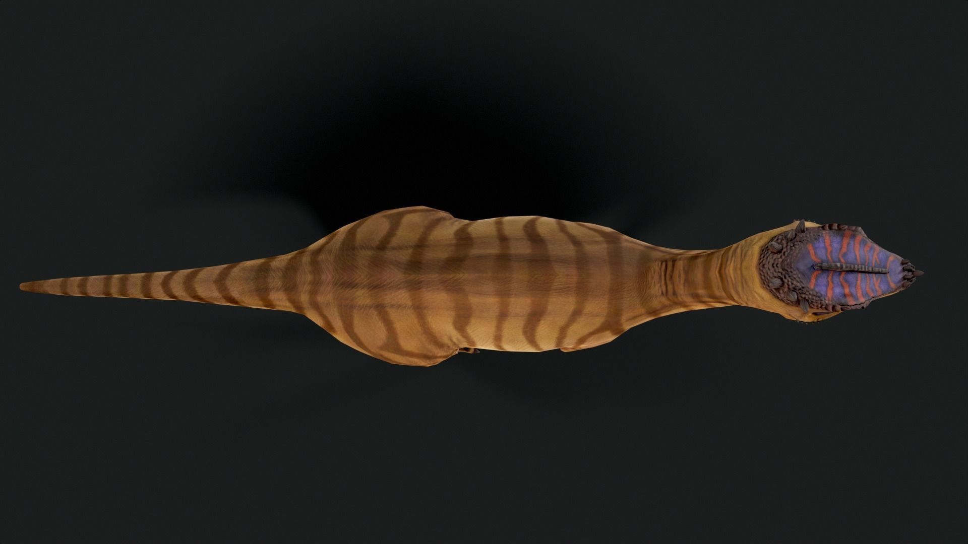 Dracorex Dinosaur Low Poly Low-poly 3D model_3