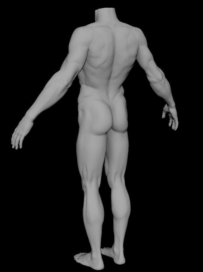 Base mesh for Lean muscle body sculpt 3D model_1