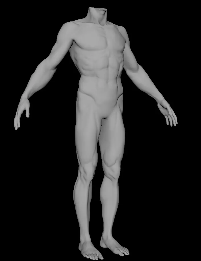 Base mesh for Lean muscle body sculpt 3D model_0