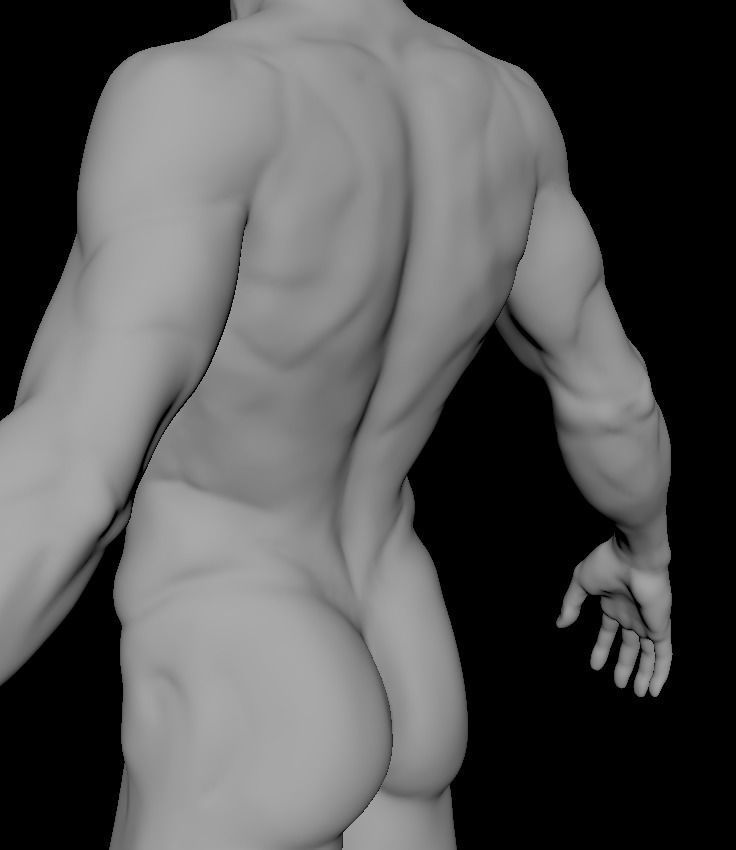 Base mesh for Lean muscle body sculpt 3D model_3
