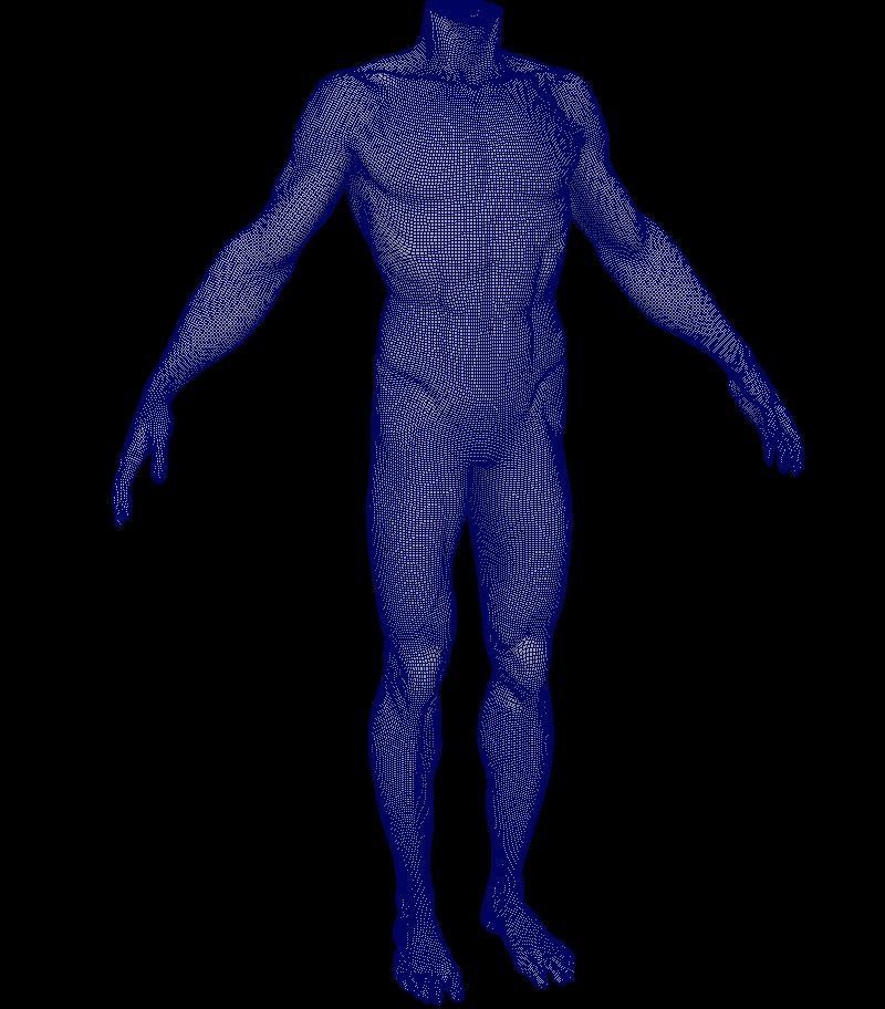 Base mesh for Lean muscle body sculpt 3D model_6