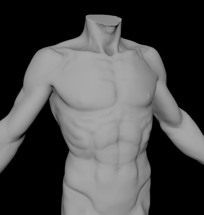 Base mesh for Lean muscle body sculpt 3D model_2