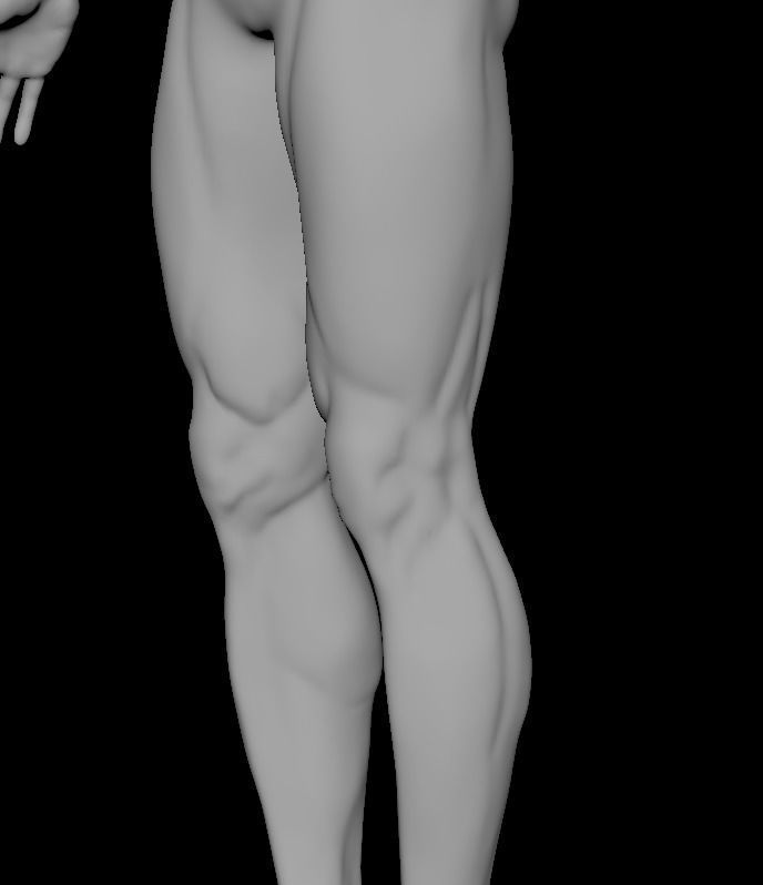 Base mesh for Lean muscle body sculpt 3D model_4