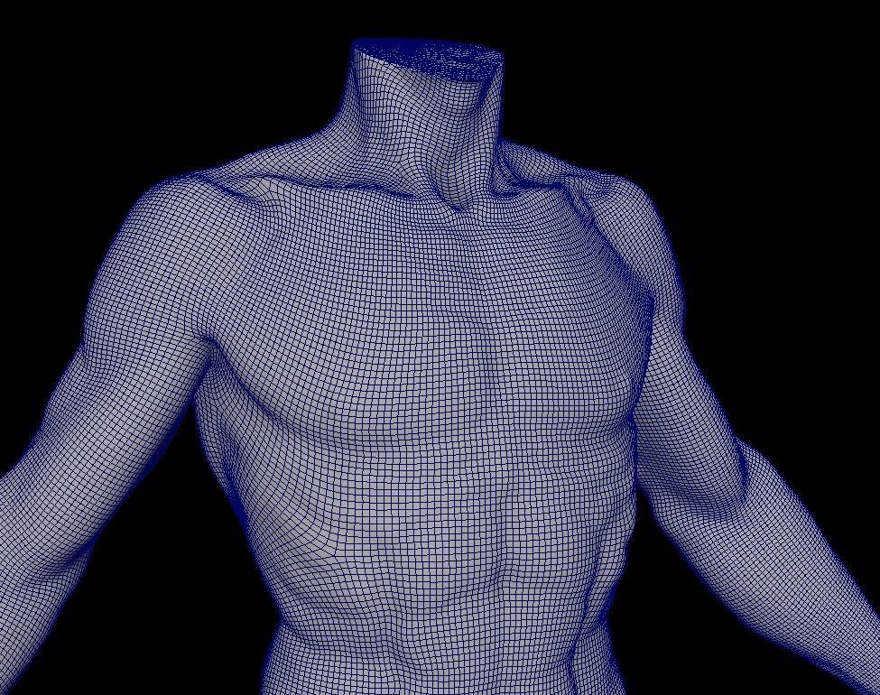 Base mesh for Lean muscle body sculpt 3D model_7