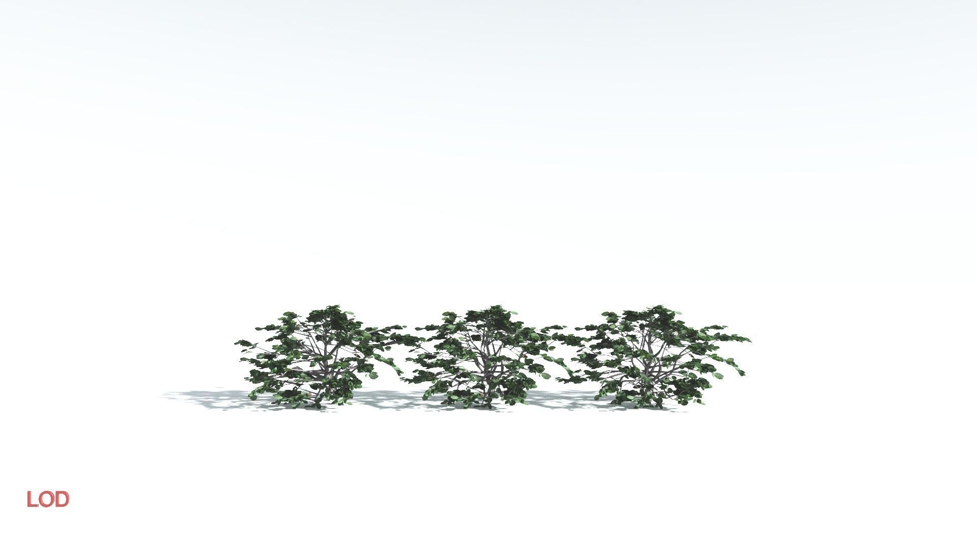 EVERYPlant Tree Heliotrope LowPoly 3 --14 Models-- Low-poly 3D model_4