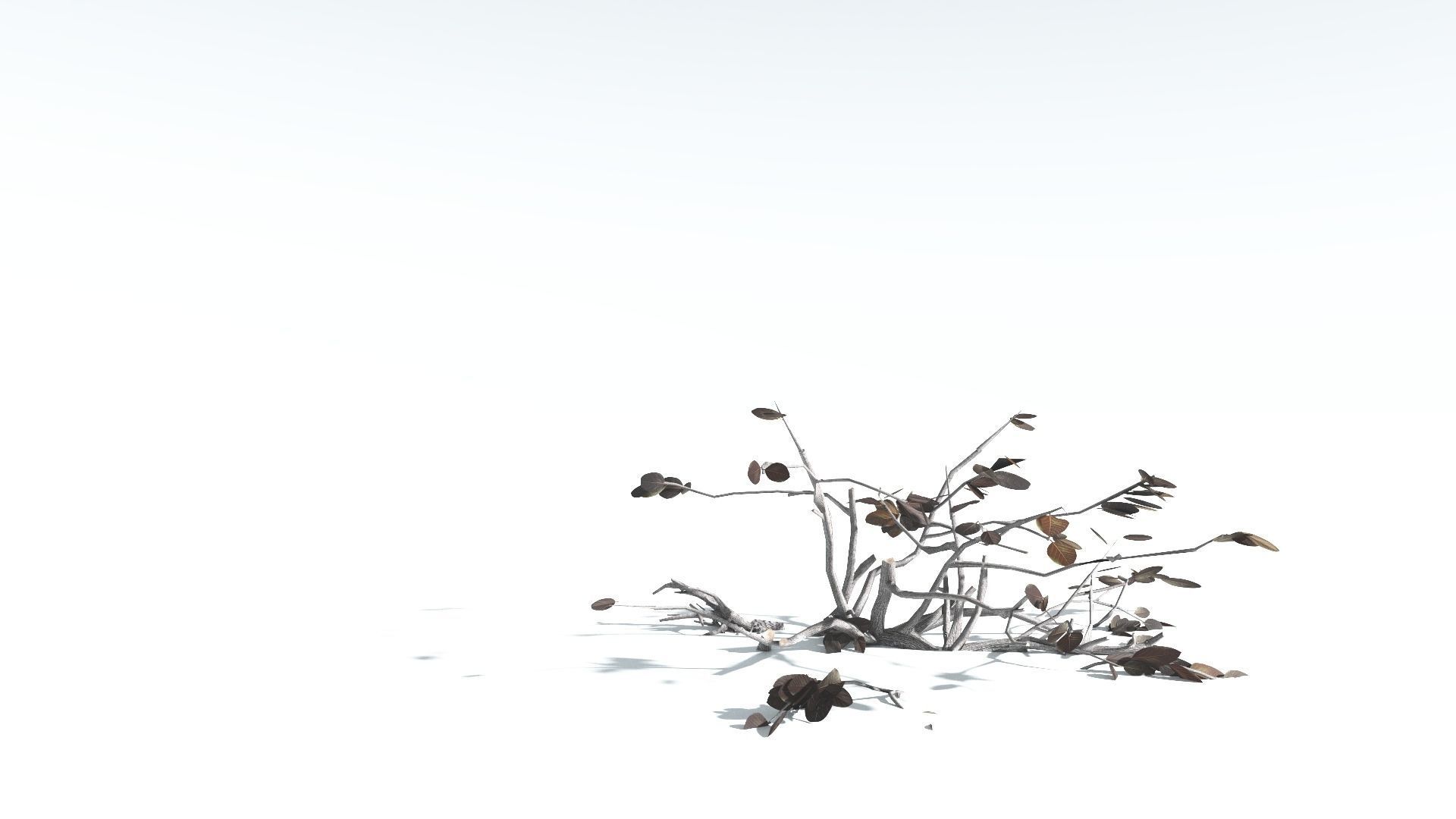 EVERYPlant Tree Heliotrope LowPoly 3 --14 Models-- Low-poly 3D model_19