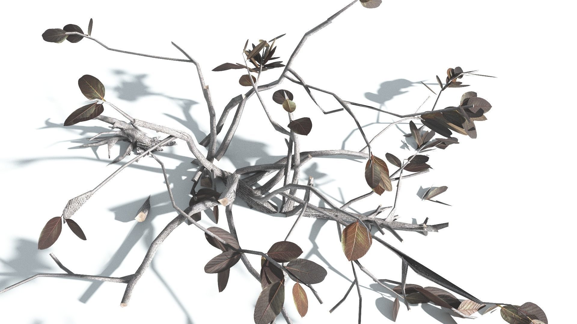 EVERYPlant Tree Heliotrope LowPoly 3 --14 Models-- Low-poly 3D model_20