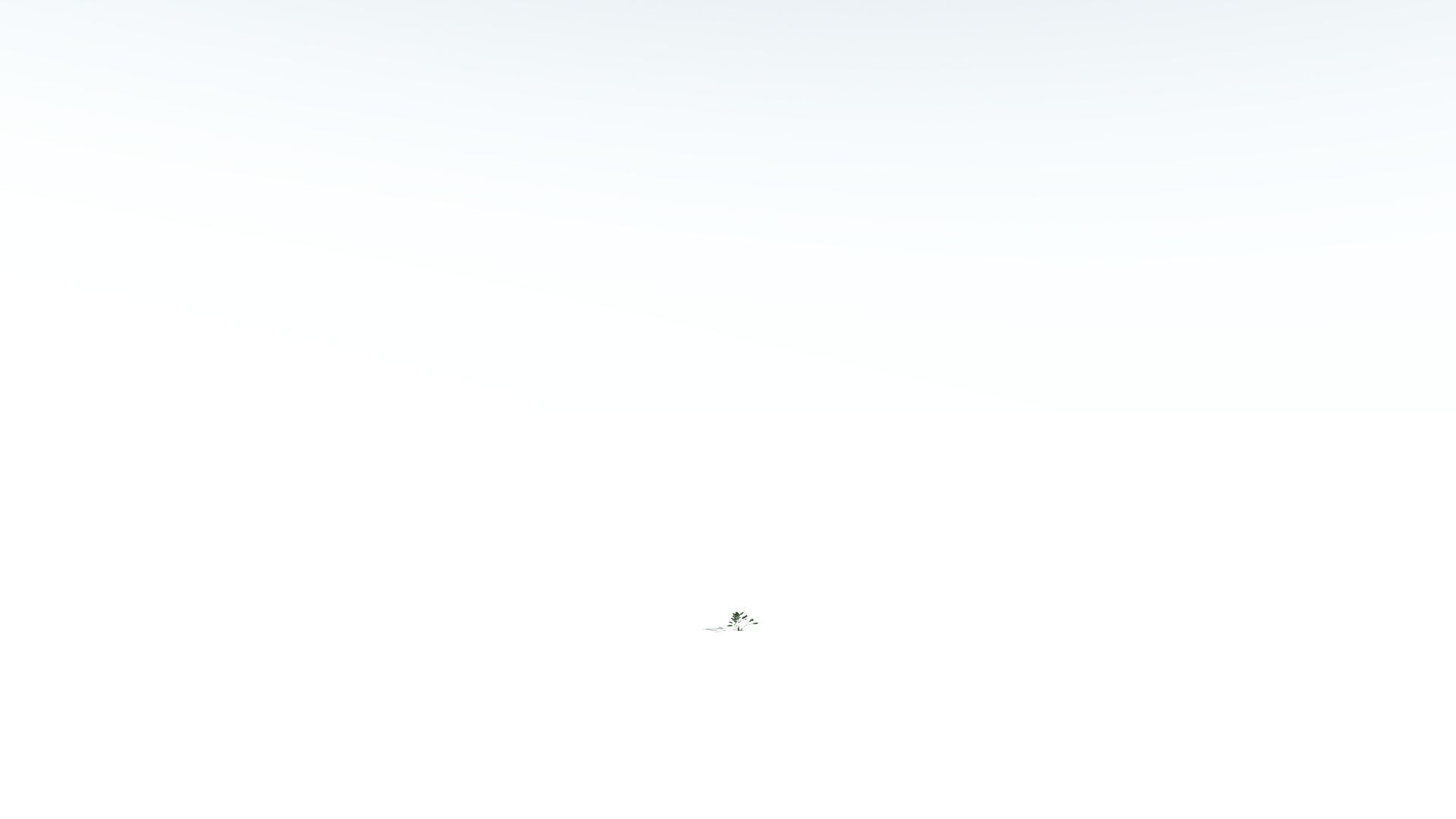 EVERYPlant Tree Heliotrope LowPoly 3 --14 Models-- Low-poly 3D model_27