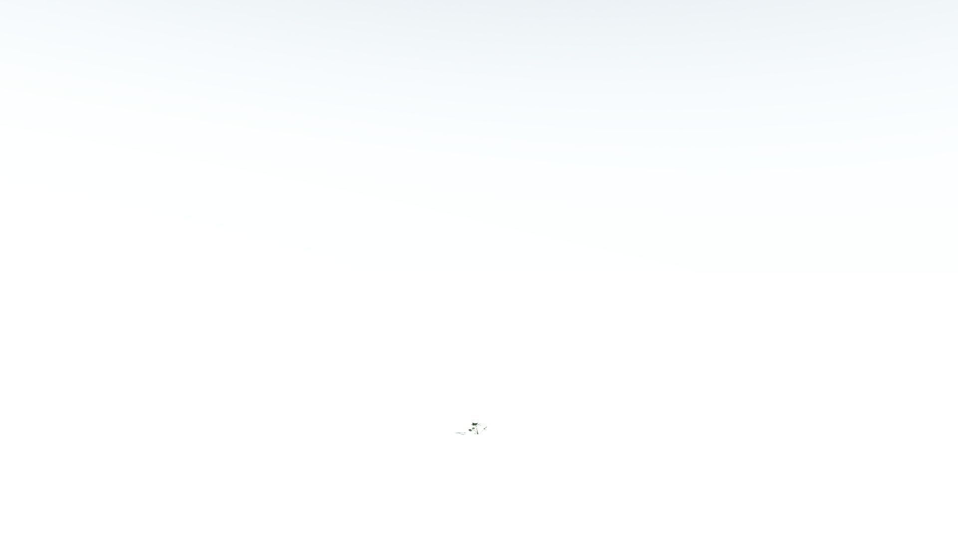 EVERYPlant Tree Heliotrope LowPoly 4 --14 Models-- Low-poly 3D model_27