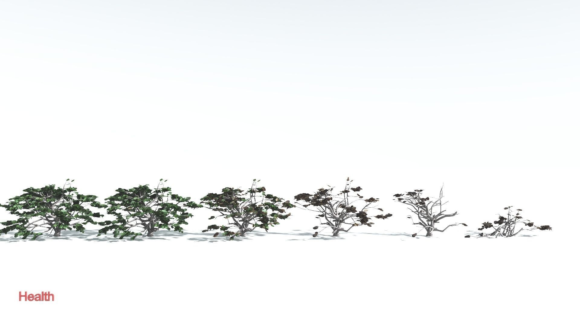 EVERYPlant Tree Heliotrope LowPoly 4 --14 Models-- Low-poly 3D model_2